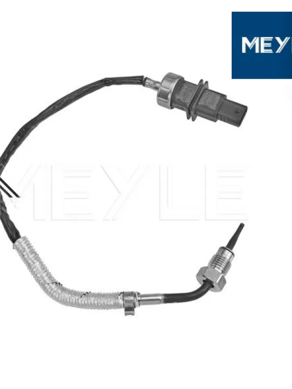 Product Sensor, exhaust gas temperature Image
